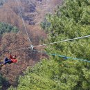 구운 자동차 나라 이미지