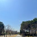 수원-1085 이미지