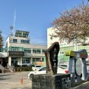 관덕정약국 네이버블로그