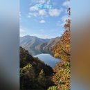 용하초등학교 이미지