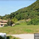 양지-3001 이미지