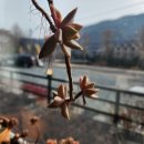 제일부동산중개 이미지