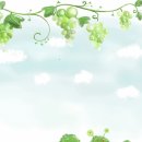 힐링M테라피 Daum카페
