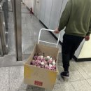케이에스주식회사 이미지