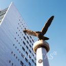 3.15대로 이미지