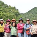 (주)힐링 이미지