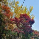 청룡저수지 이미지