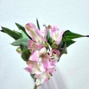 화랑농장 이미지