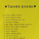 백호사주카페 이미지