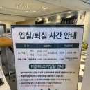 힐리 | 웰리힐리파크 리조트 35평형 패밀리룸 후기 웰리힐리숙박후기