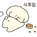 한울 태권도 이미지