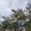 토리숲 주차장 이미지