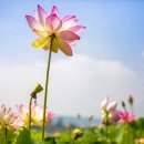 생생마을협동조합 이미지