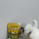 리앤폴 | 강아지 소화를 도와주는 식이섬유 풍부한 리앤폴 단호박 황태 무염 간식 후기