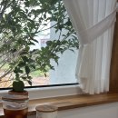 판포길담 이미지