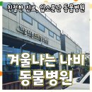 겨울나는나비동물병원 | [찐 내돈내산] 사천 동물병원 추천｜퍼피 때부터 다닌 '겨울나는나비동물병원'