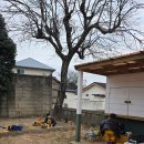 100년한옥 별채 | 부산 감성 숙소 홀씨스테이 100년 고택 아이랑 힐링하기 좋은 곳