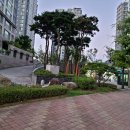 동탄대로시범길 이미지