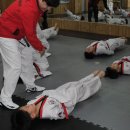 연세 성원 태권도 이미지