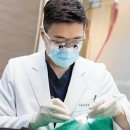 손치과 네이버블로그