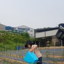 셀세모용인