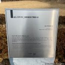 미니스톱편의점(송도센트럴점) | 송도 센트럴파크 다녀왔어요 (위치, 안내도, 자전거, 보트, 꽃사슴정원 등 상세 정보)