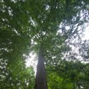 마두 약수터 이미지