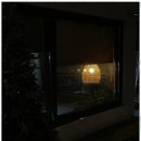 임랑스테이 이미지