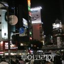 도쿄 - 달서구 월배로 375 | 도쿄