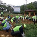 경인농장 이미지