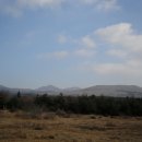 버스정류소-중앙로터리 이미지