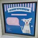 시민여관 | 서울 종로 가볼만한곳 돈의문박물관마을 철거 경희궁 공원화 사업 솔직후기