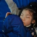 용인대 대호 태권도 이미지