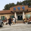 초향정 이미지