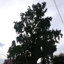 오수보건지소 이미지