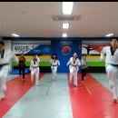 한양대탑수정태권도 이미지