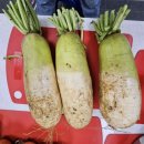 미포새마을경로당 이미지