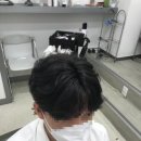 시스템엘르