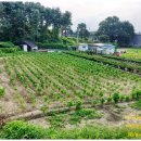 부발목장 이미지