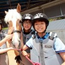 렛츠런파크 제주 이미지