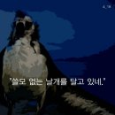 알바트로스 이미지