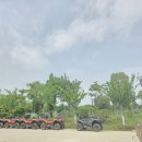 상해국제학교 현장학습과 충밍시 글램핑장 후기