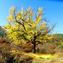 임고면-수성리-30