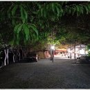 외룡송어회 캠핑장