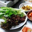 청산오리 이미지