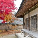화산건재 네이버블로그