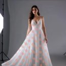 Dress 이미지