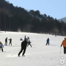 {강원도 평창} 강원도 대관령특구 유경캠핑과 함께 하세요 이미지