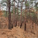 상사농장 이미지