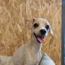 오구오구살롱 이미지